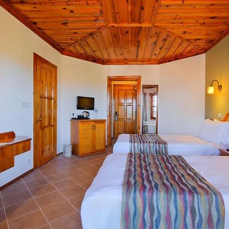 Montana Pine Resort-2